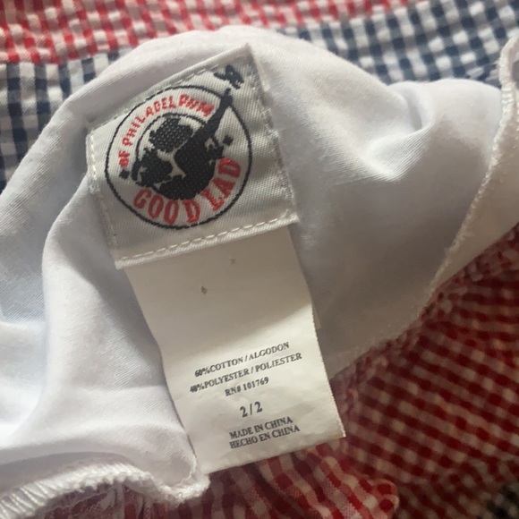 Good Lad Red & Blue Gingham Strawberry Applique Dress - Picture 4 of 6